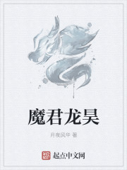 魔君龙昊