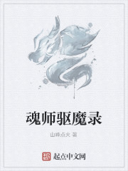 魂师驱魔录